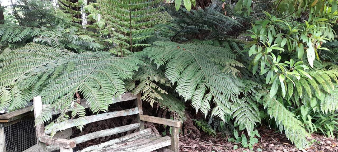 Earthsounds Country Cottage Taumarunui Kültér fotó