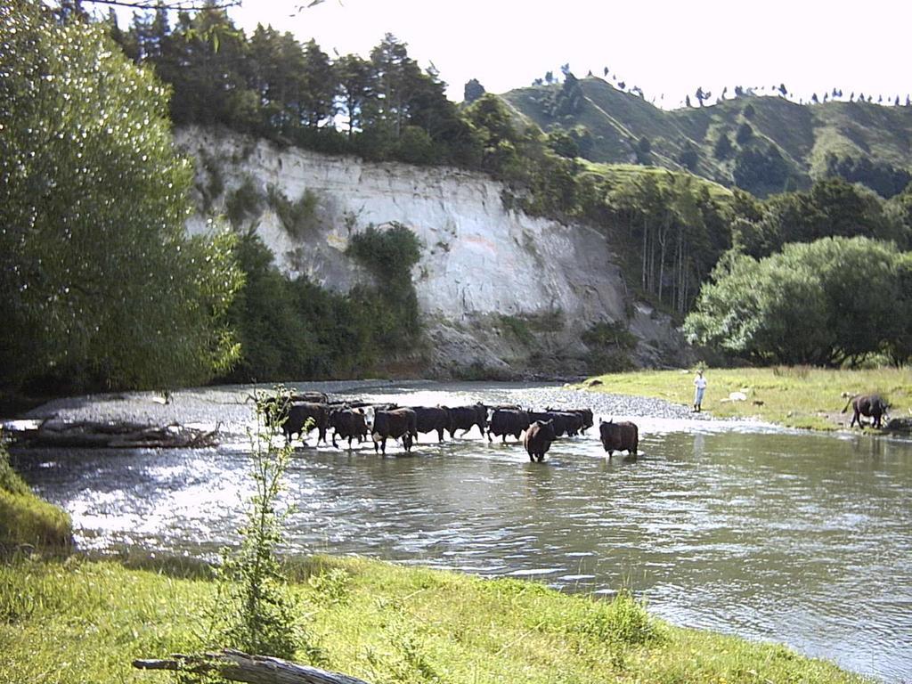 Earthsounds Country Cottage Taumarunui Kültér fotó